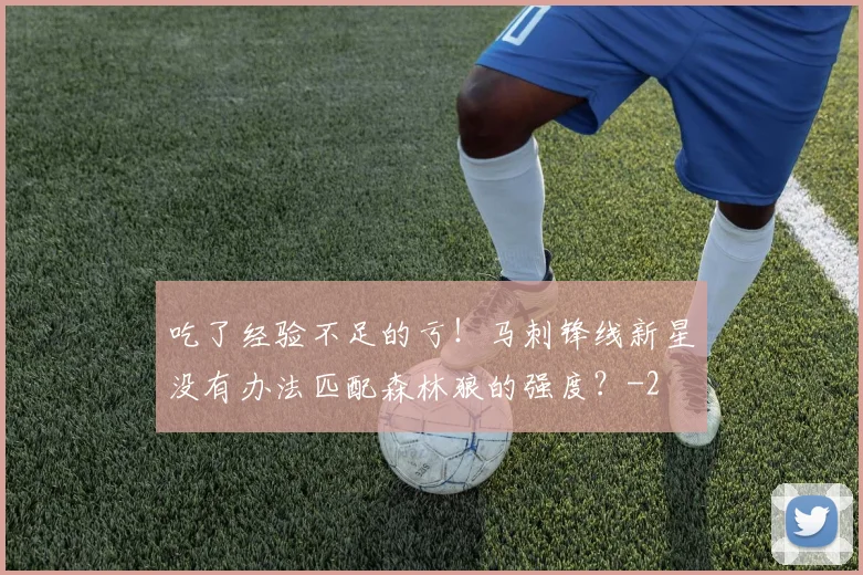 吃了经验不足的亏!马刺锋线新星没有办法匹配森林狼的强度?