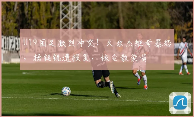 U19国足激烈冲突！久尔杰维奇暴怒，杨铭锐遭报复，依合散染黄