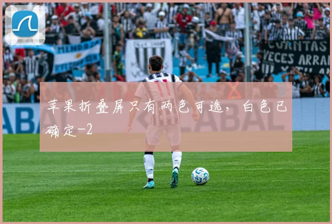 苹果折叠屏只有两色可选，白色已确定